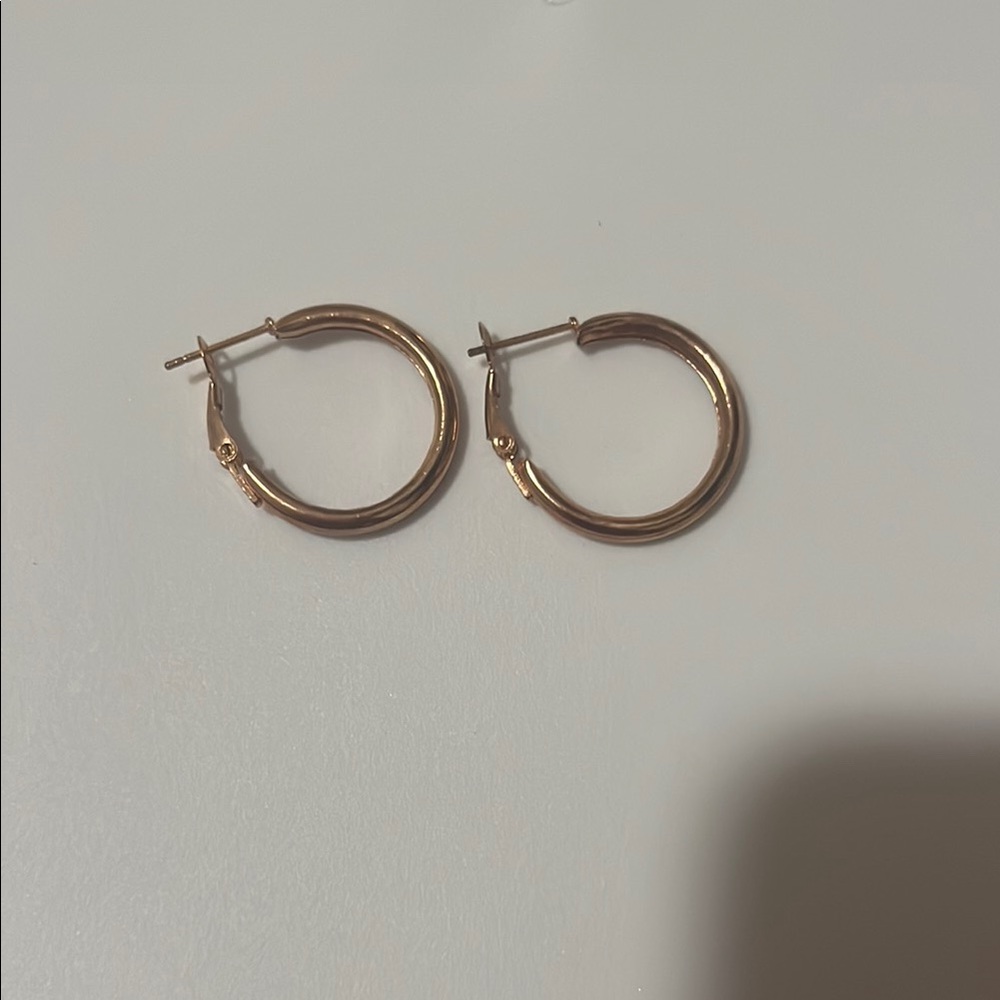 Temu Gold Hoop Earrings